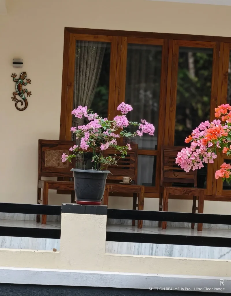 Realme 16 Pro Daylight Camera Sample Daylight camera sample shot on Realme 16 Pro 5G with vibrant colors and details at best realme 16 pro price in india.