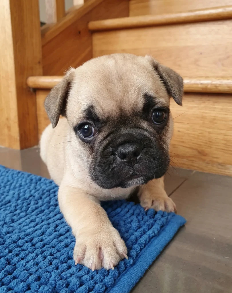 Realme 16 Pro Daylight Camera Sample Daylight camera sample shot on Realme 16 Pro 5G with vibrant colors and details at best realme 16 pro price in india.